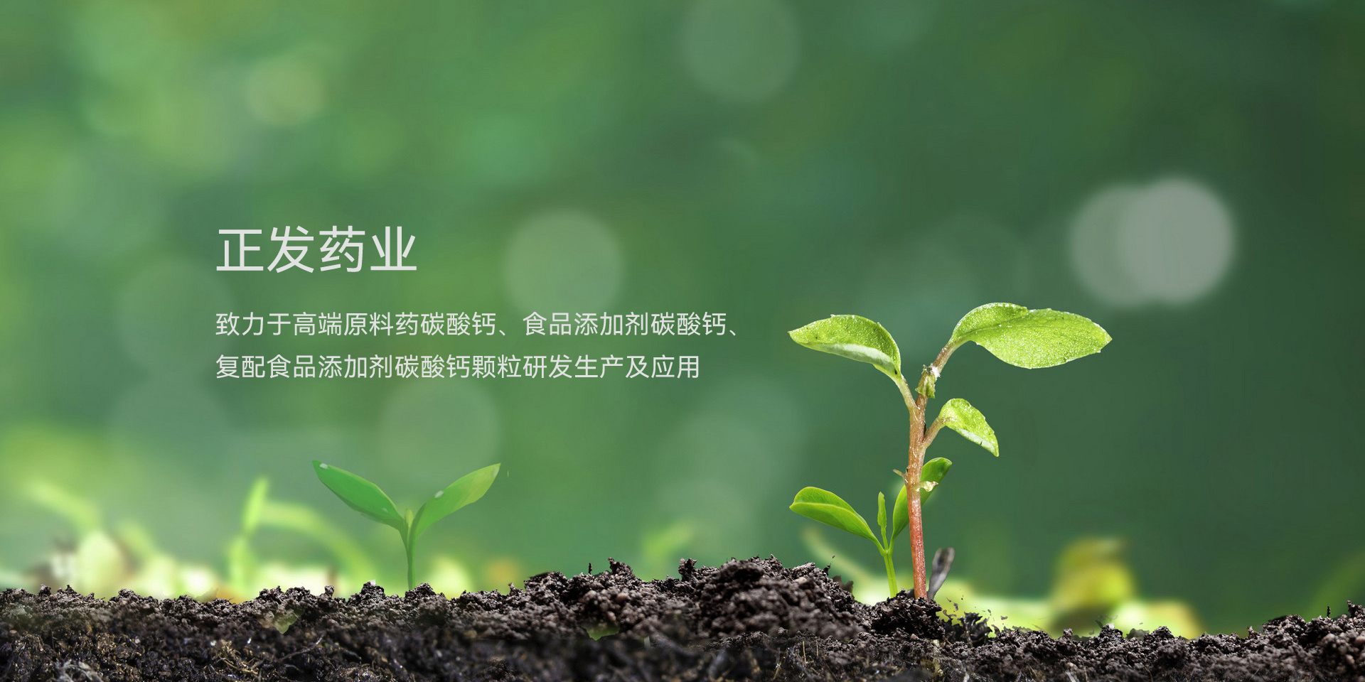 正發(fā)藥業(yè)