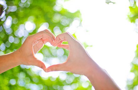 新聞動(dòng)態(tài)